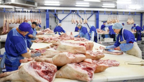 Werkverträge und Leiharbeit in der Fleischindustrie