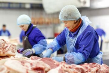 Werkverträge und Leiharbeit in der Fleischindustrie