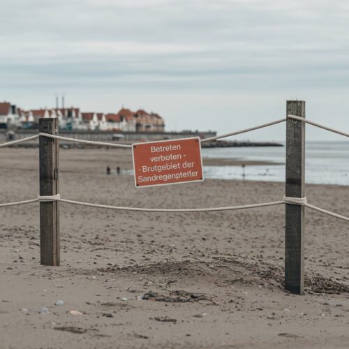 Strandsperrung mit Seil und Schild "Betreten verboten - Brutgebiet der Sandregenpfeifer" an leerem deutschen Strand.