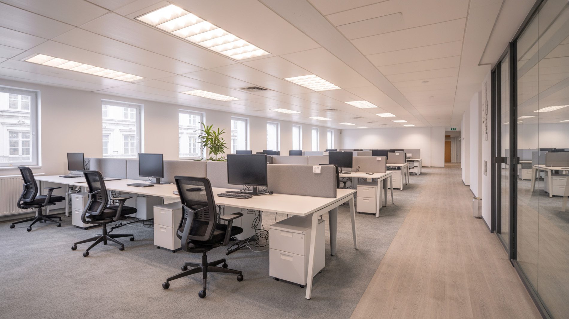 Modernes Büro mit großzügigen Arbeitsbereichen und unverstellten Bewegungsflächen.